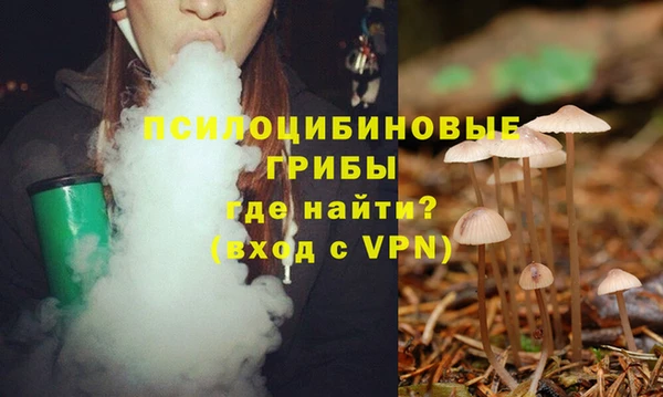 прущие грибы Рославль